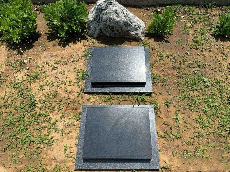 福润园捌区生态
