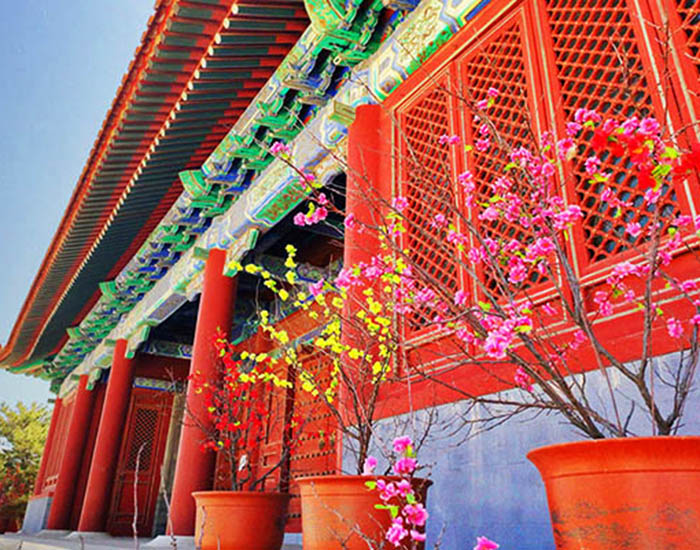古建筑配梅花